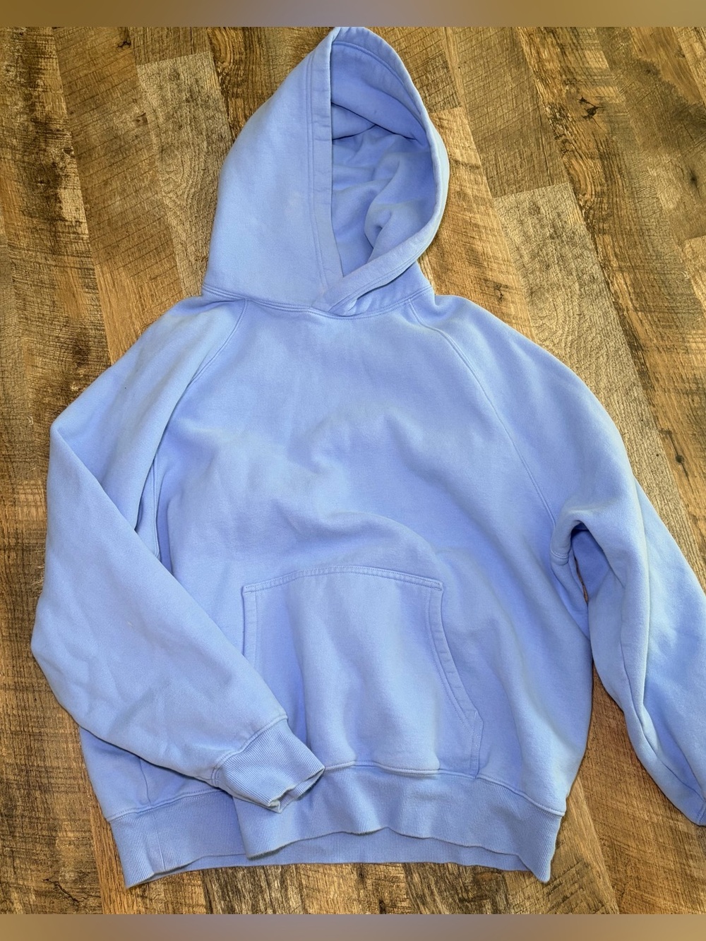 Aritzia blue hoodie